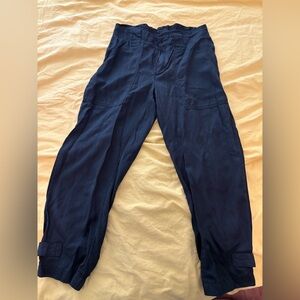 Banana Republic Cropped Pants
